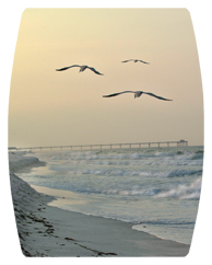 DAREC 126 Going Home (Seascape)